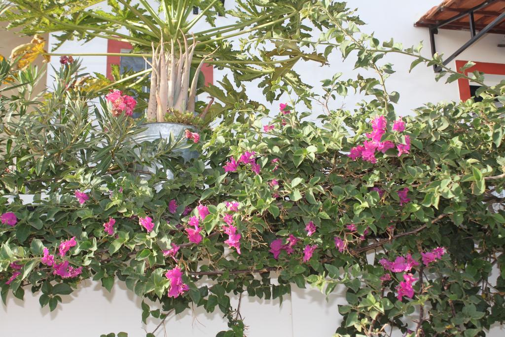 Bed and Breakfast Yria Residencial Porto Novo Exteriér fotografie